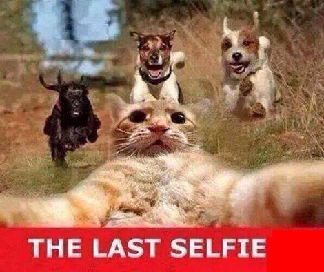 Cydcor-RR-2015-Selfie