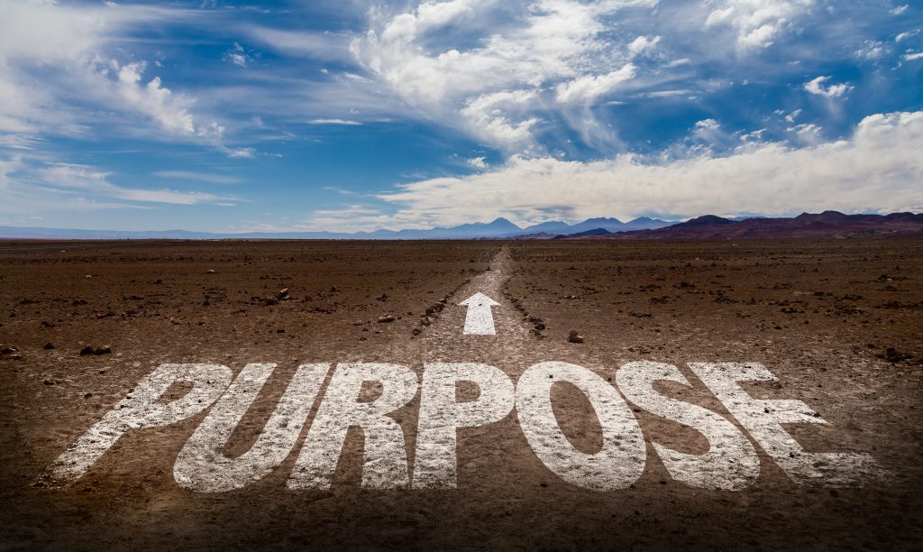 Purpose words on road.