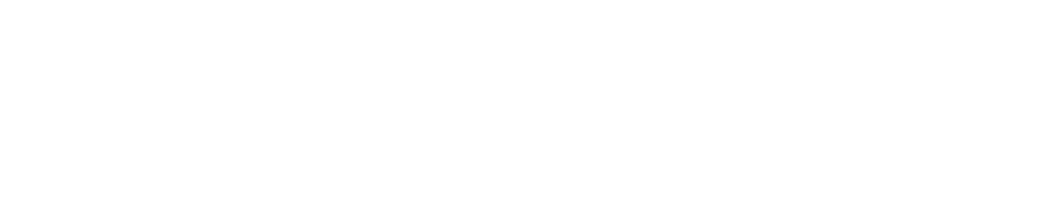 wealth insider logo